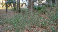 DSC00327.JPG